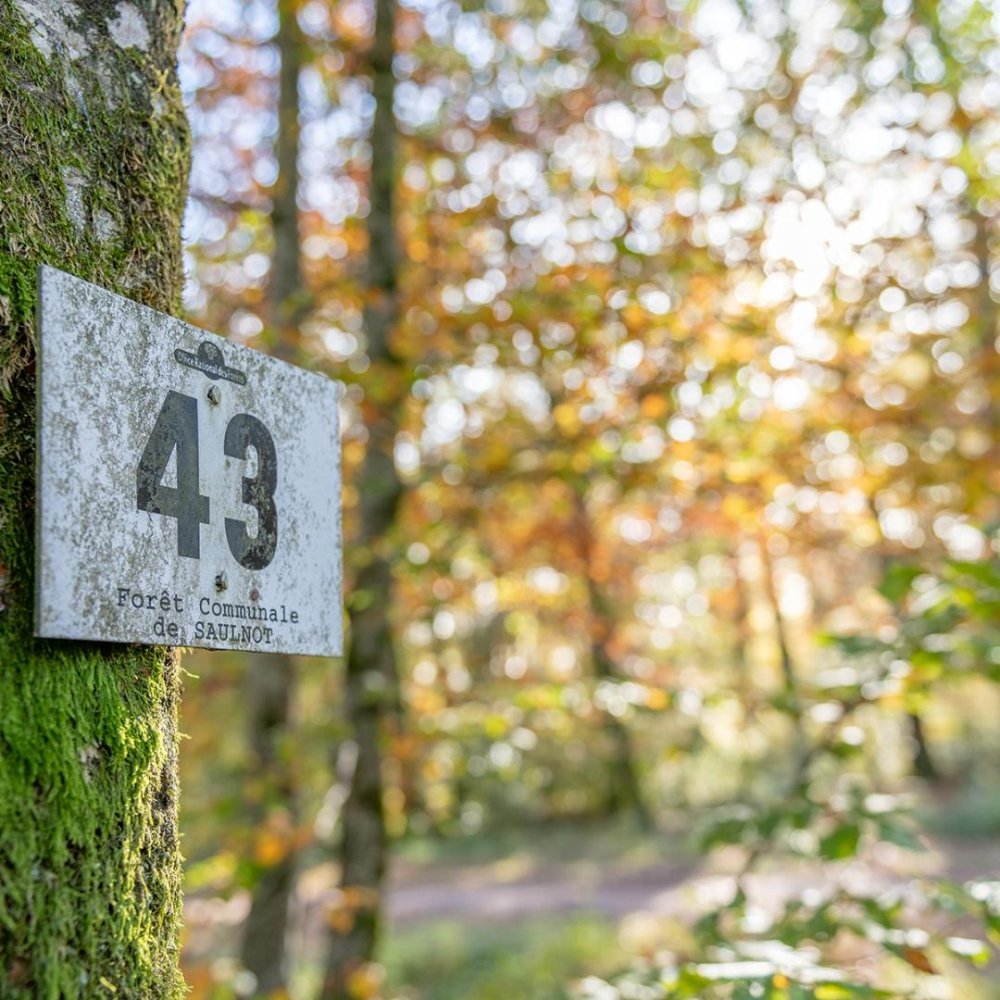 JOURNÉE INTERNATIONALE DE LA FORÊT